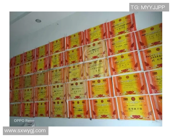 深圳极限运动队成长之路：挑战自我与追逐梦想的真实记录