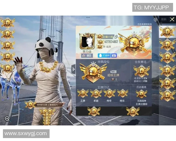 权威发布：和平精英灵活性实力榜单全面解析与深度评测