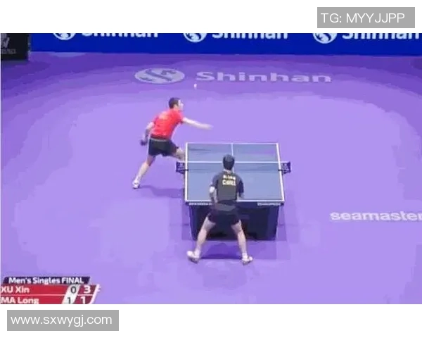 乒乓球新手必看：全面入门技巧与配合训练指南助你快速提升水平