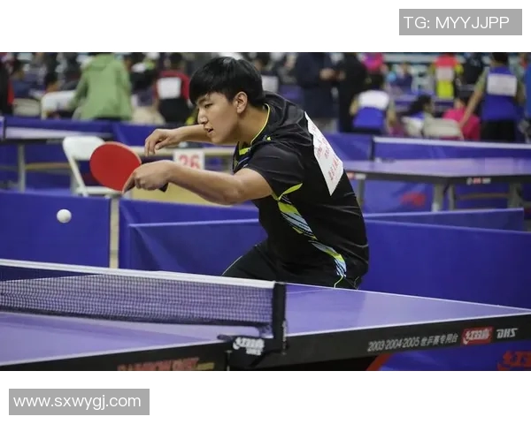 北京乒乓球队比赛经验分享与技术分析探讨之旅 北京乒乓球队比赛经验分享与技术分析探讨之旅