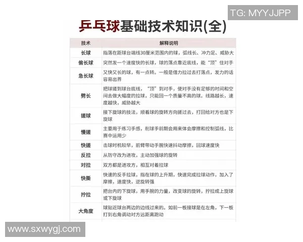 吴伟独家分享乒乓球技巧与心得助你提升球技的秘密宝典