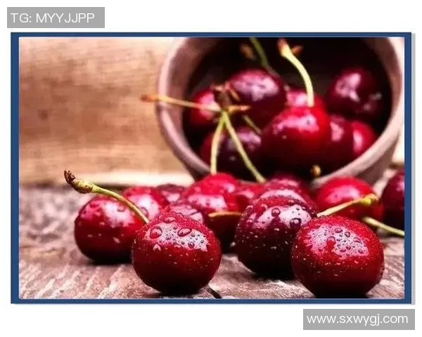 张军独家分享篮球心得与训练技巧助你提升球技的全面指南