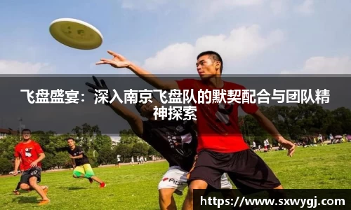 飞盘盛宴：深入南京飞盘队的默契配合与团队精神探索
