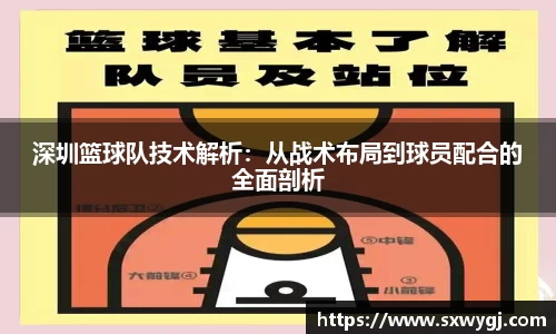 深圳篮球队技术解析：从战术布局到球员配合的全面剖析