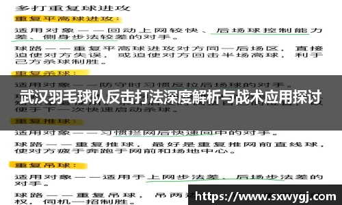 武汉羽毛球队反击打法深度解析与战术应用探讨