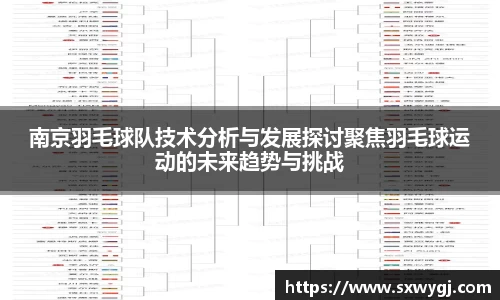 南京羽毛球队技术分析与发展探讨聚焦羽毛球运动的未来趋势与挑战