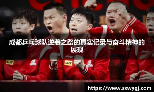 成都乒乓球队逆袭之路的真实记录与奋斗精神的展现